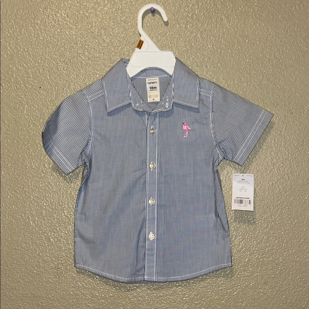 Carter’s Kids Blue Striped Button Down Shirt with Pink Accent